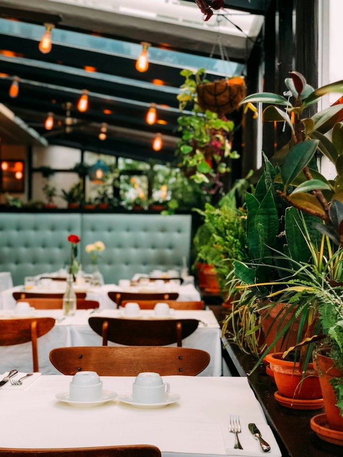 Affordable restaurant website Vienna