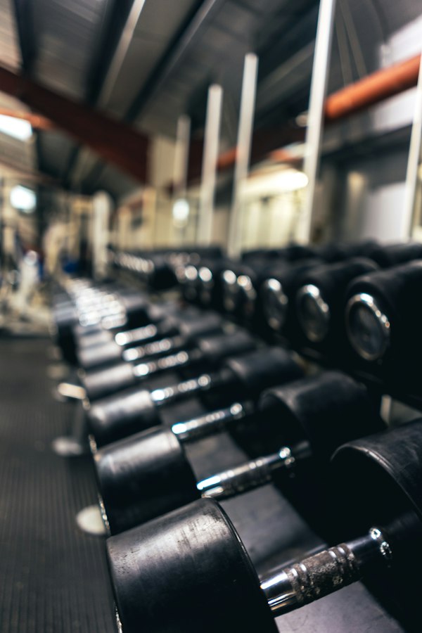 Personal Training buchen Wien