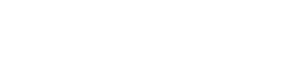 Leiner-Logo.png